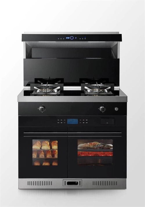 別再糾結(jié)了 2023年集成灶十大品牌年終盤點,看看哪款最適合您